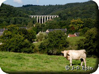 Gorges de l'Yonne