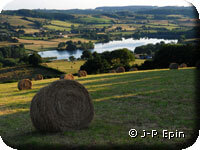 paysage de bocage