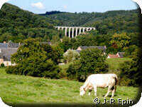 Cette herbe de Montreuillon !