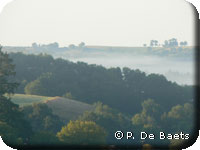 Au petit matin