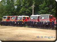 Entrainement au feu de forêt