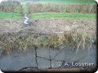 Le ruisseau creuse derrière la paroi