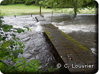 passerelle à Oussy