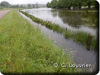 près inondés