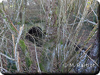 Vaucreuse sous le passage du tacot