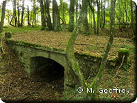 Pont sur la rigole d'Aron