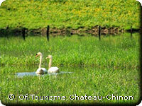 Parc ornithologique