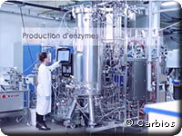 Production de polymérase