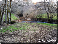 Confluent de la Baye et du Bruy