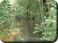 L'Yonne depuis le Vernet