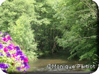 L'Yonne - un coin à truite !