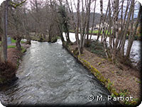 L'Yonne à Montreuillon