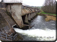 L'yonne au barrage de compensation (EDF)