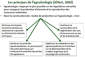 Les principes de l'agroécologie<br />Miguel Altiéri - 2002