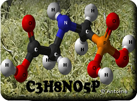 Le glyphosate