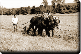 Labour en 1930