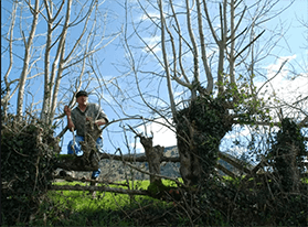 Agroforesterie - aménagement des haies (piechie)