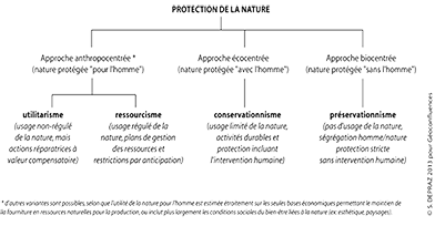 11- Les théories nature-anthropie