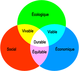 <em>Les 3 piliers du développement durable<br />selon Brundtland<br />Sommet de la Terre - Rio 1992</em>